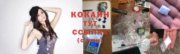 шишки Нея