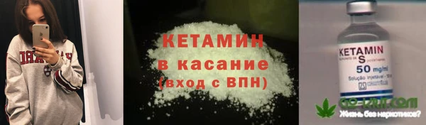 шишки Нея