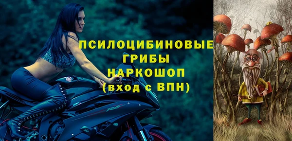 стафф Нефтекумск
