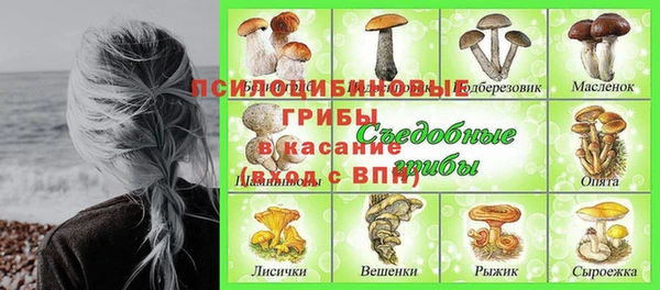 шишки Нея