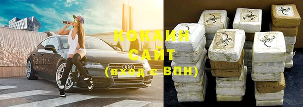 шишки Нея
