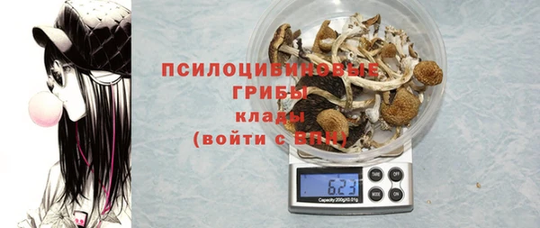 шишки Нея